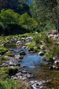 Rio Ceira