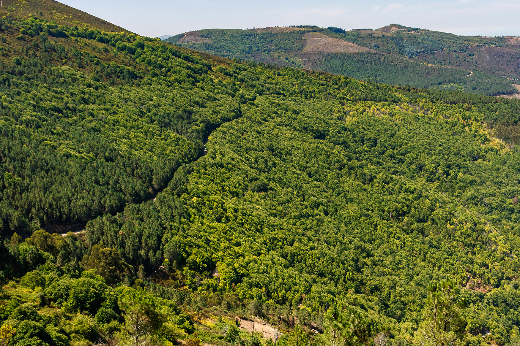 Paisagem Protegida da Serra do Açor